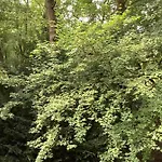 Bremer 45 - Exklusives Am Kurpark Apartment Wilhelmshaven
