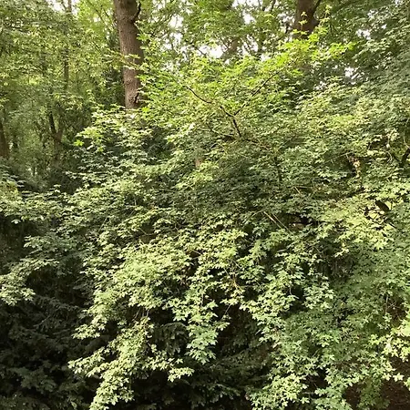 Bremer 45 - Exklusives Am Kurpark Appartement Wilhelmshaven